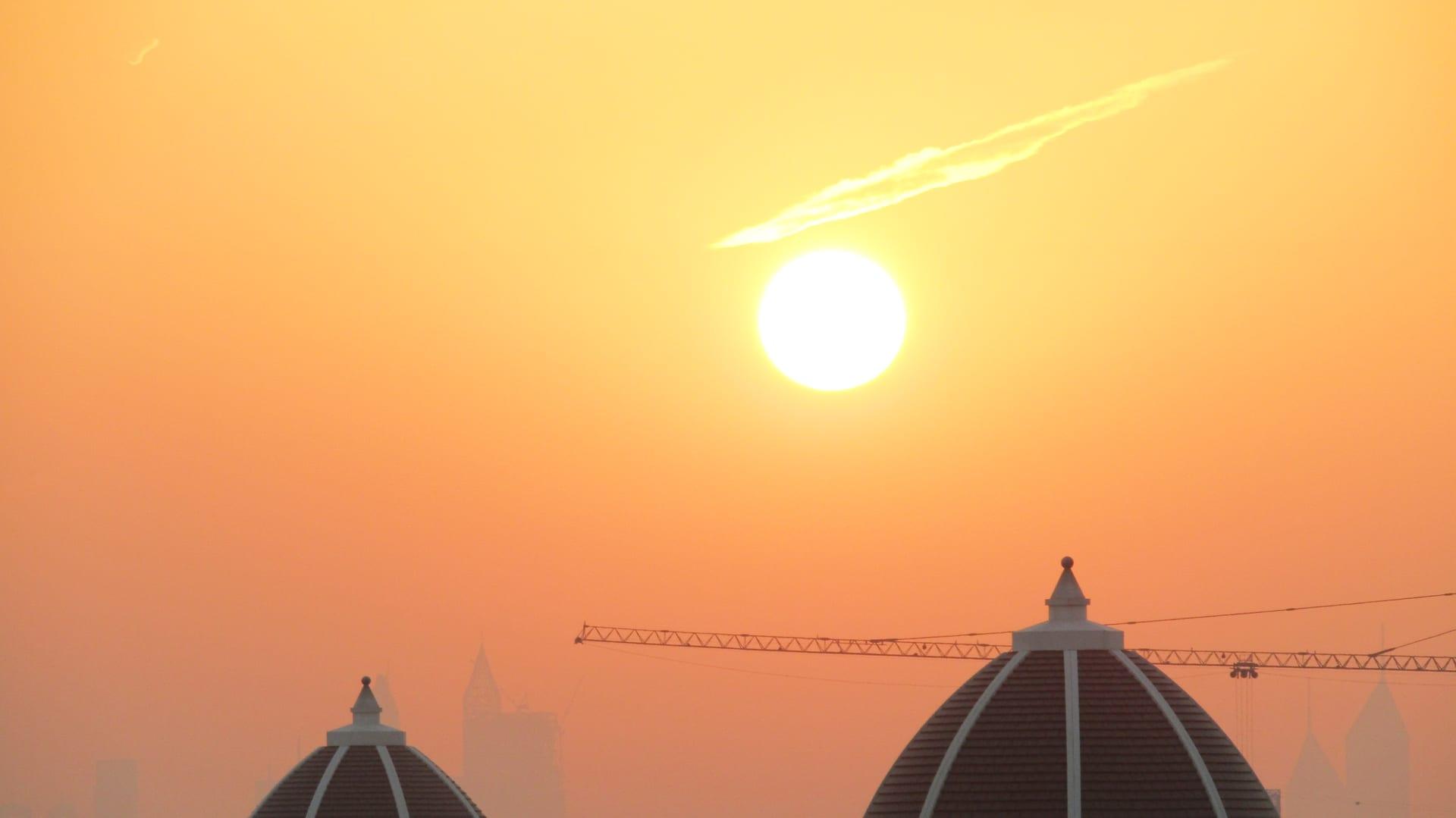 Domes & Cranes